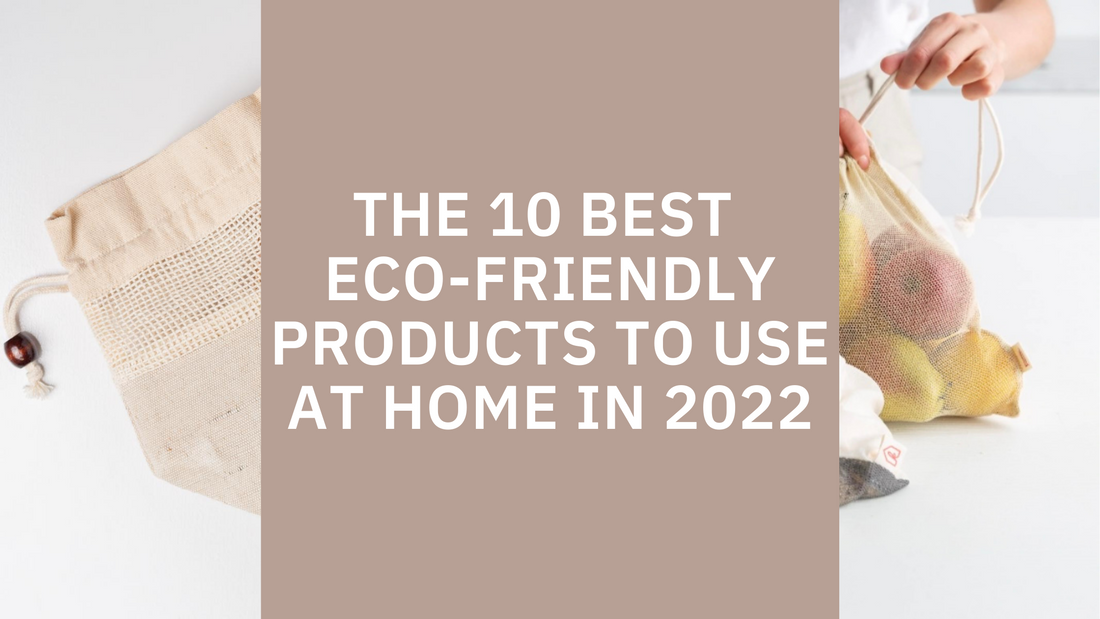 10 Best Eco-Friendly Products to Use at Home in 2022