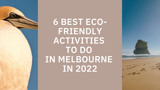 6 of The Best Eco-Friendly Activities to do in Melbourne