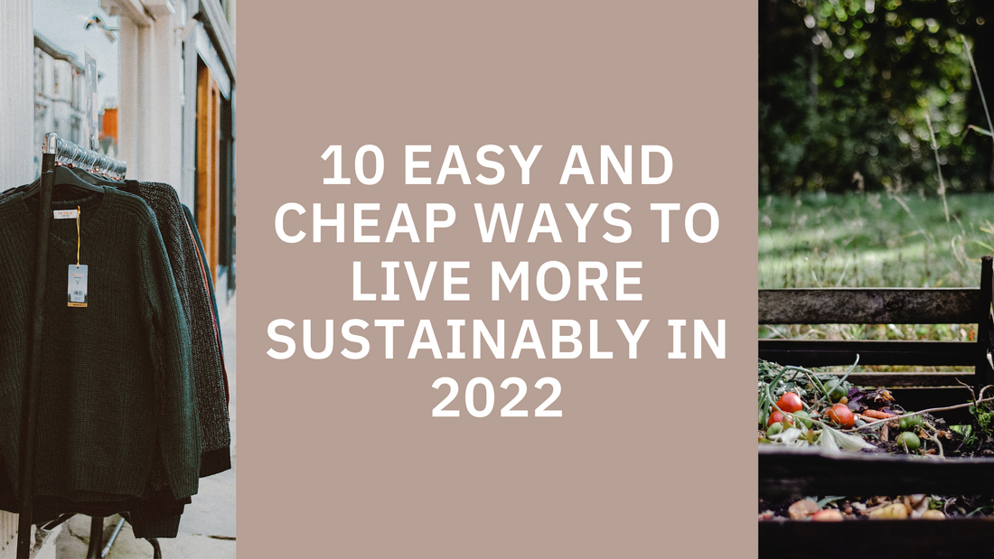 10 Easy and Cheap Ways to Live More Sustainably in 2022