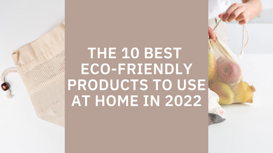 10 Best Eco-Friendly Products to Use at Home in 2022